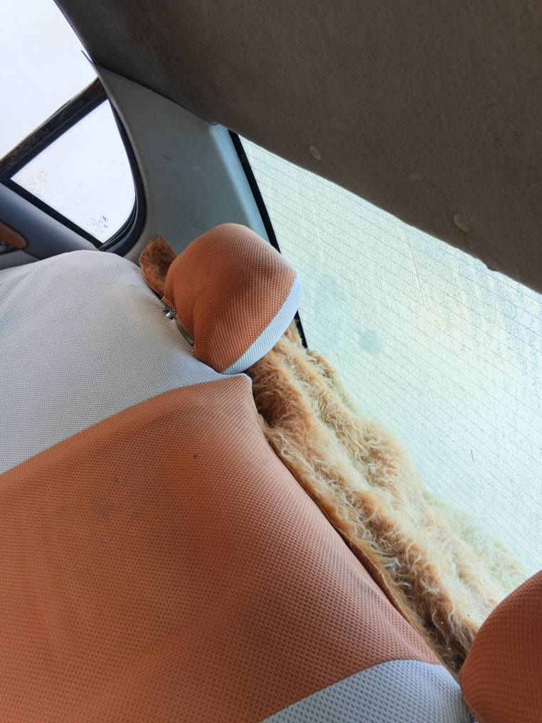 ليفان صيني حجم620مديل2011 
معامله كاملة باقيه بس هزه مصفره من كلشي اتعهدلك بل اصوليات والتحويل كير مكينه حلوات مابيهن شي حداديه نضيفه تخبل تخم تاير جديد جواها تبريد شغال وياها 3بيبان جدد وعينه وصطابات ب22وبيها مجال*********** البصرة, العراق
