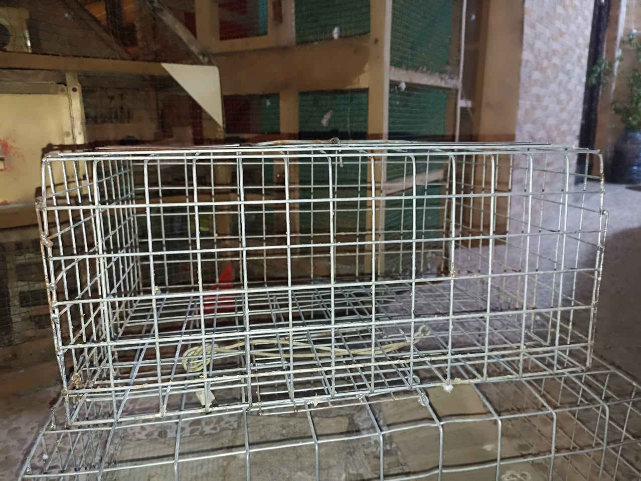 سراي يجي خاص. موقع قادسيه اولى


**إذا كنت صاحب هذا الإعلان وتريد حذفه لأي سبب، رجاءا أرسل رسالة إلى الدعم الفني**