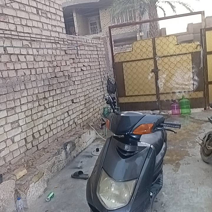 سكنس نثية 140حلوة ناعمة بشكل وموضح ب الفيديو ونكرة سلف معدلهة حلو بس بيههة رجفة بتحريكة 
كهربياتههة كاملة بيههة كلوبات زنون كلشي كامل بيههة تجي تنكرههة وتطلع سعرههة 350مكان بغداد الشعب قرب بانزين خانة السما بغداد


**إذا كنت صاحب هذا الإعلان وتريد حذفه لأي سبب، رجاءا أرسل رسالة إلى الدعم الفني**