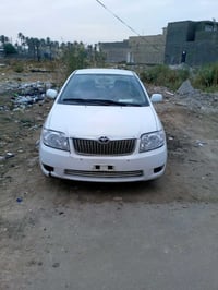 كورلا بيكاتشو • ٢٠٠٥ • مرايات صفره