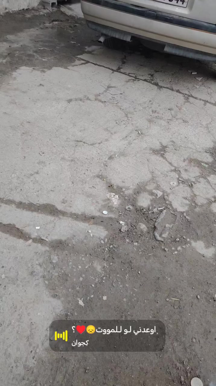 موديل 1990 سياره جاهزه بسمي شرط تحويل هزه براد جديد رقم سنويه لحد 2031 سقف سلايت سعر 44 و مجال قليل


**إذا كنت صاحب هذا الإعلان وتريد حذفه لأي سبب، رجاءا أرسل رسالة إلى الدعم الفني**