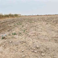 الديوانية السنيه • ٥دونم • طابو زراعي