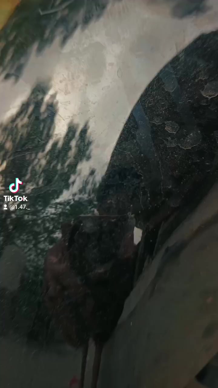 ماكس بوليس دراجة جهازة ما نقصهة كلشي شلعة ومعدل سعر ٦٥٠بيهة مجال مكان حي البتول رقم ***********
