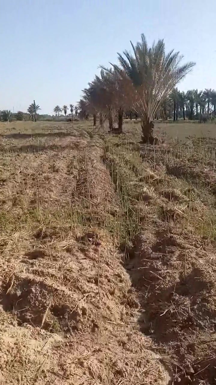 دونم.لبيع.سند.25.تحويل.بسم.لمشتري.مباشر.كافت.لخدمات.مي.سال.كهرباء.طوارء.طوريج.امرواية. ال مومنين 
للاتصال ***********
