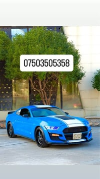 موستانغ V6 • ٢٠١٧ • بونيد شيلبي