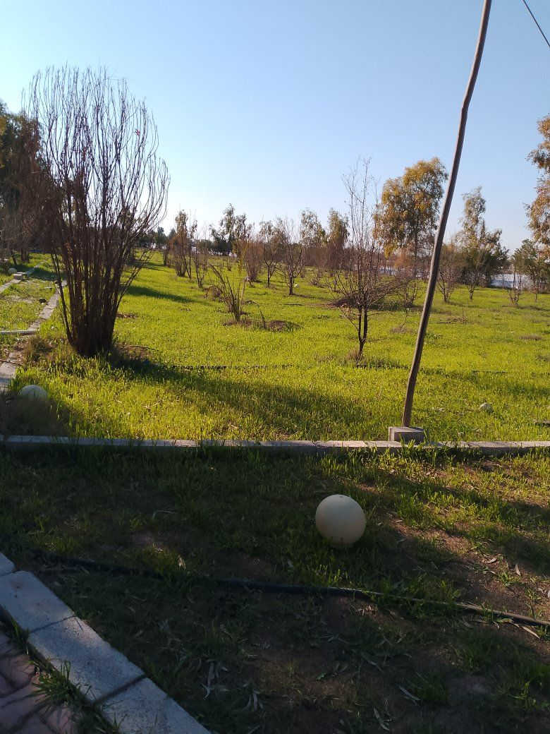 مزرعه للبيع مساحه ٢ دونم زراعي في كركوك طريق ليلان خلف معمل غاز مسافه بيها بيت وبئر ماء وكهرباء وحديقة والاشجار سعره ٣٠ مليون للمزيد من المعلومات اتصال على رقم مبايل ***********
