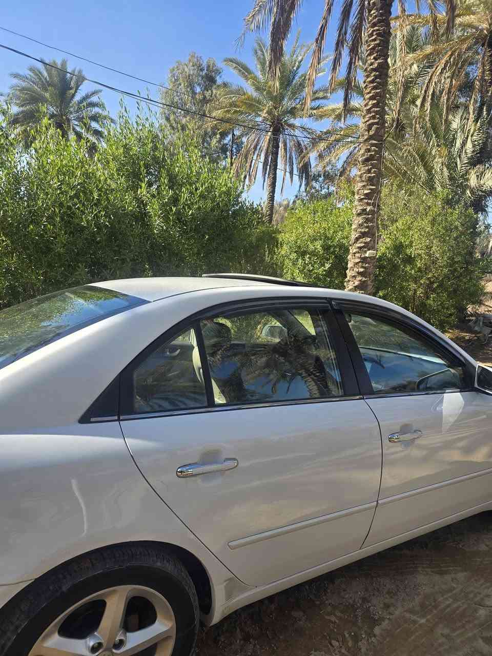 سوناتا موديل ٧ خليجي
فول مواصفات 
محرك ٦
بيها قطعة صبغ وحدة
وبارد قليل 
١١٢ وبيها مجال
***********
