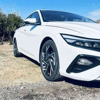 النترا • ٢٠٢٤ • رقم أربيل