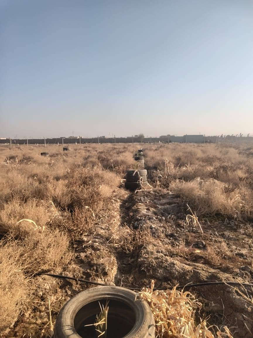 أرض طابو ٢٥زراعي ٣دونم نزله ال مدور مسيجه بي ار سي. للاستفسار ***********
