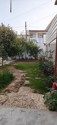 حي الضباط • طابو ملك صرف • ٣٠٠م