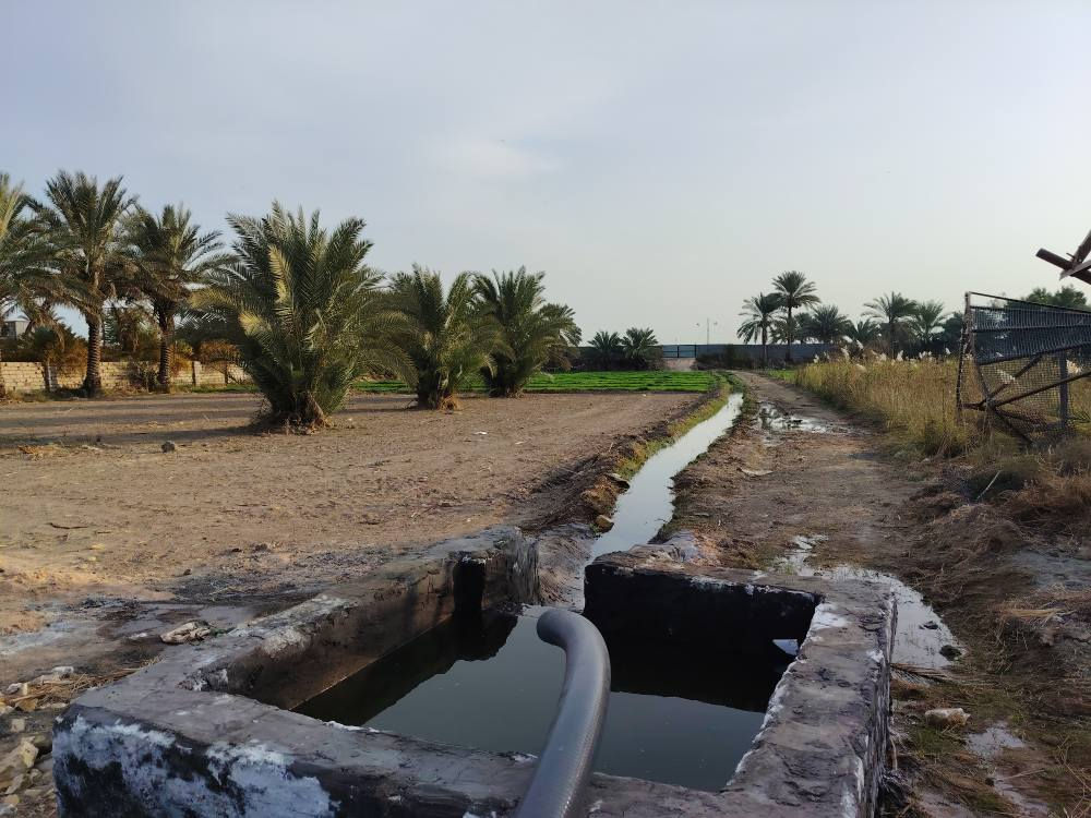 ارض شاطي 2 دونم للبيع على طريق يا حسين  في الكفل الشهابية   السعر خاص على الرقم ***********
