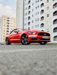 موستنك ٢٠١٥ سياره مكفول داخله كلين كير محرك مكفول بيها جاملغ بي رش اثر...