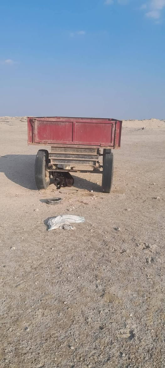 *********** مكاني كربلاء
