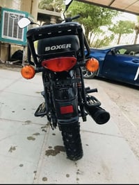 بوكسر • ٢٣ • بدون اوراق