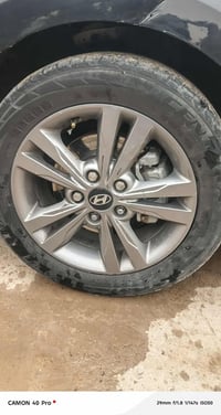 ويل مروس بويل عادي مكان نجف حي القدس07809958995