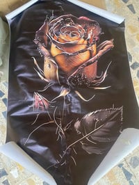 بوسترات جلد • ١٥٠