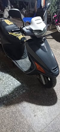 فراشة فحل • دسك • الحله