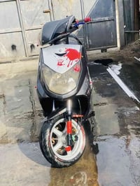 دراجه للبيع سكنس فحل نوزل مكفوله كفاله عامه 950 عنون بياع الشهداء للتو...