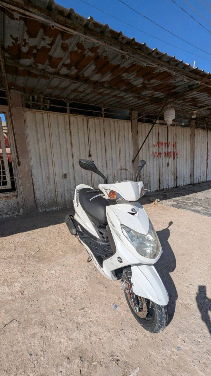 دراجة سكنس فحل ياباني كابريتر دراجة كاملة كل نقص مابيه نكره سلف مكينه بلادي اتخبل سعر 650 وبيه مجال محتاج اريد ابيع مكان حي الامامين كربلاء ***********
