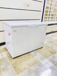 شينون • ١٦ قدم • ضمان سنة