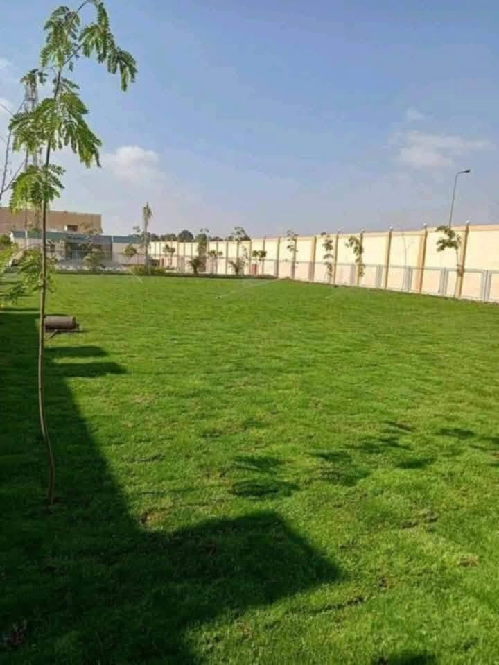 ثيل طبيعي طبيعي واصل جميع المحافظات للحجز والستفسار ***********
