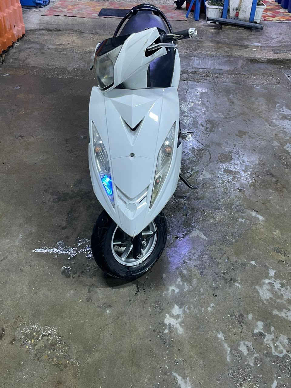 السلام عليكم جيتي ار للبيع دراجه مكفوله كفاله عامه عده البجم تجاري ونقصهة تريشه اليمنهة مكينه برغي ما مفتوح بيهة تايراتهة ثنينه جدد فيتبم جديد دراجه عرضهة ب700 وبيهمجال بصيط حك الجيه ***********
