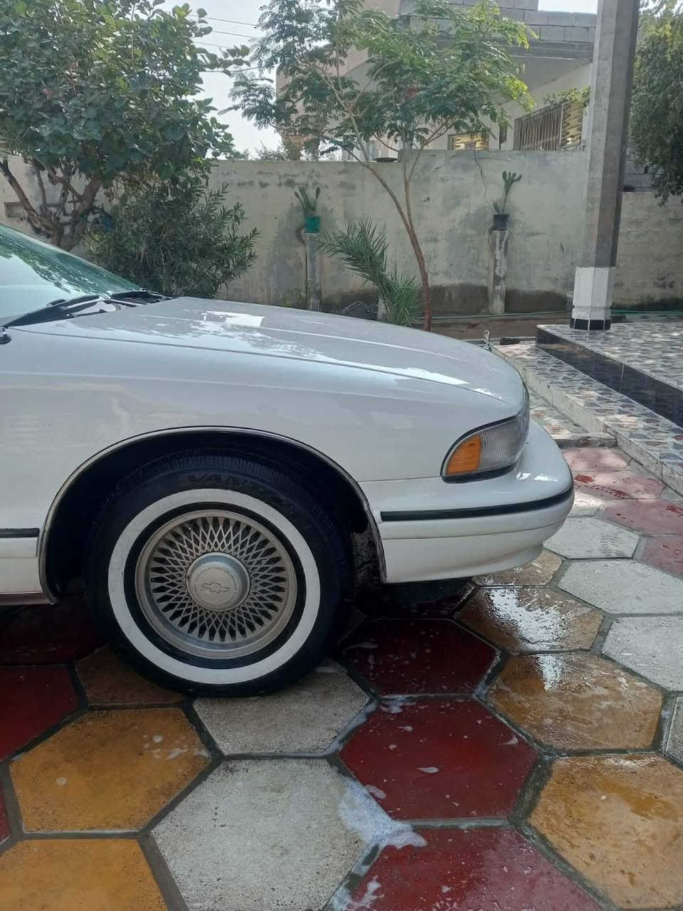 دولفين مجول ١٩٩٤
معمرة كامل وجاهزه من كلشي 
السعر ٦٥ وبيه مجال 
***********
