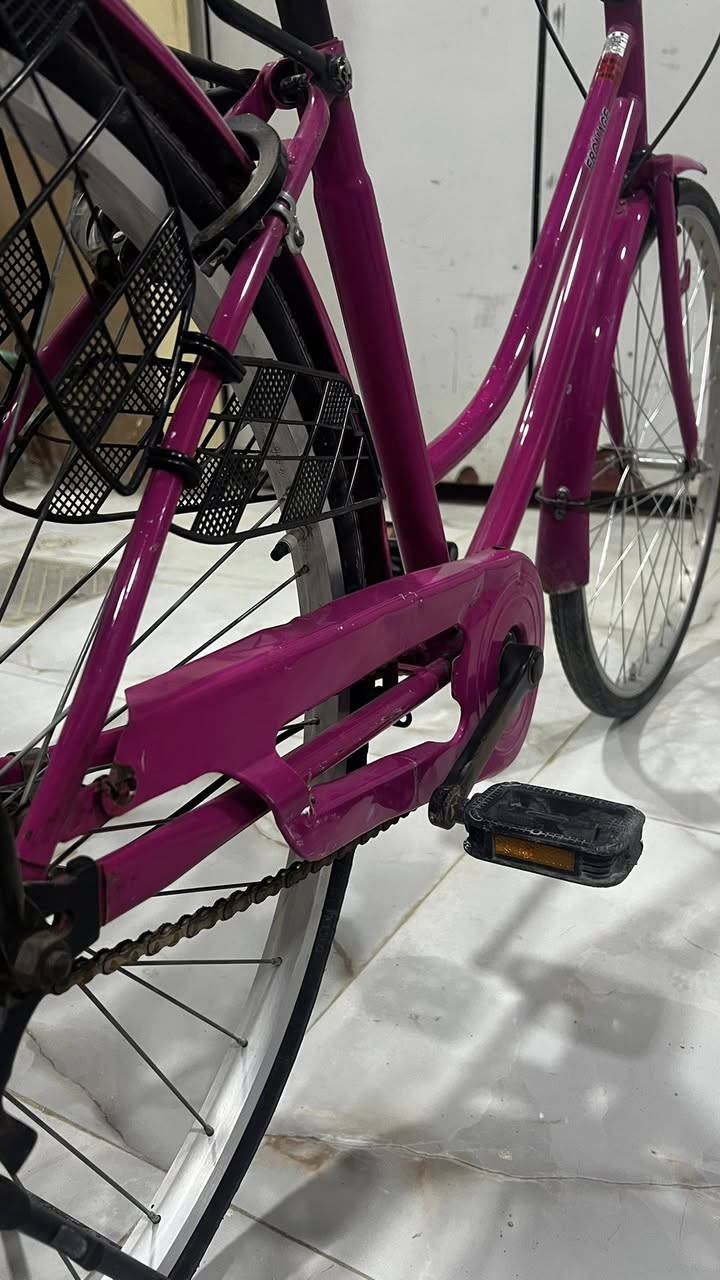 السلام عليكم
للبيع حجم 26 🍃

تايرات جديده 🍃

كلشي موضح بالصور 🍃

الموديل 2016 🍃

سرج قلاب 🍃

الجك يحتاجله سبرنكه 🍃

البايسكل نظيف ومرتب السعر 120 🤍🍃

دسك صفاره 90

مكاني قرية الغدير


**إذا كنت صاحب هذا الإعلان وتريد حذفه لأي سبب، رجاءا أرسل رسالة إلى الدعم الفني**