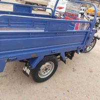 ستوت • مديل 2023 • مكفوله