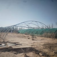 بصرة • سفان • مرجوحه