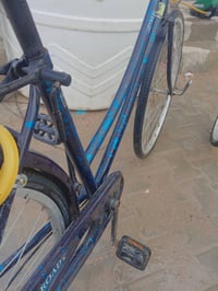 باسكل • موشم ياباني • سماوة خشابة