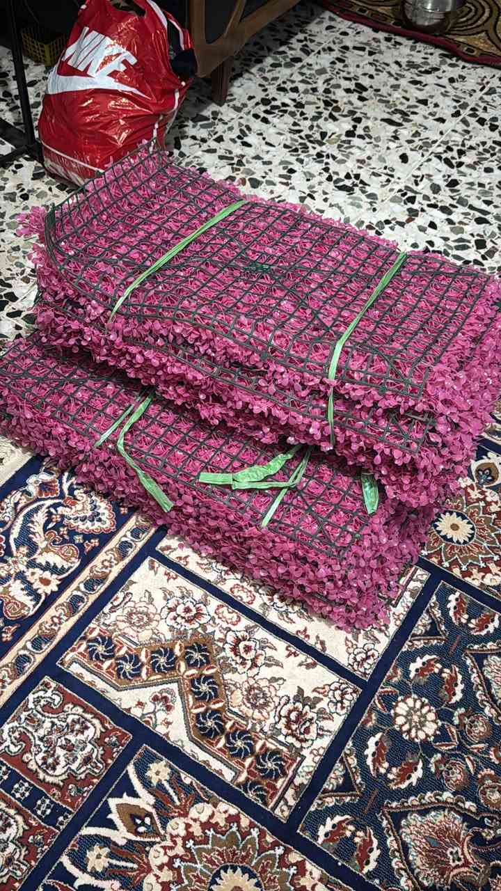 للبيع 20 قطعة شلع مع توصيل 90 الف


**إذا كنت صاحب هذا الإعلان وتريد حذفه لأي سبب، رجاءا أرسل رسالة إلى الدعم الفني**