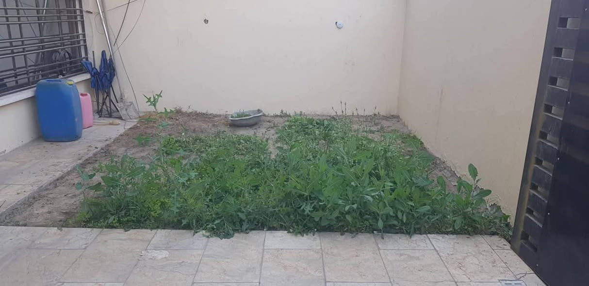 سلام عليكم  
اهلنا في مجمع بدور  السكني  توجد جميع انواع الزرع والضليات والديكورات حدايق داخليه خارجيه 
وانسب الأسعار   رقم ***********وتساب  
#ضياء الفلاح
