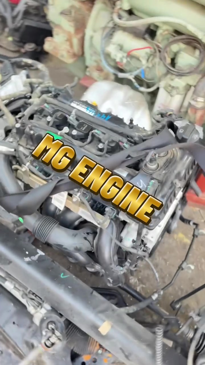 MG ZS Engine transmission Gear Available Contact for more information 00971567099133   #qatar #abudhabi #oman #bahrain #kuwait #iraq #africa #MG


**إذا كنت صاحب هذا الإعلان وتريد حذفه لأي سبب، رجاءا أرسل رسالة إلى الدعم الفني**