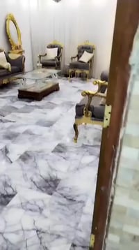 تخم قنفات للبيع للتواصل على الرقم 07702768015