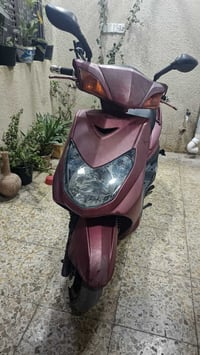 للبيع سكنس فحل رمبه  دراجه مرتبه مال رمبه  مابيه اي مشكله فقط اشاير ام...
