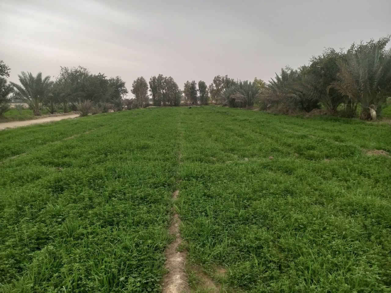 سلام عليكم ارض زراعيه مساحه ٣دونم زراعي تحتوي ع بئر ومكينه گاز 16حصان وماطور كهرباء 10حصان وتبعد عن الشارع الرئيسي التبليط 150متر سعر الدونم ٢٣ مليون مع المجال الموقع نجف كوفه براكيه الجنوبيه للاستفسار الاتصال
***********
***********
