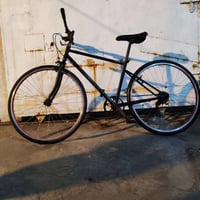 بيع او مراوس بغداد 07838191827