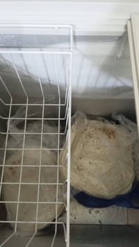 مجمدة ١٢ • بدون ضرر • البدايات شارع الكهرباء