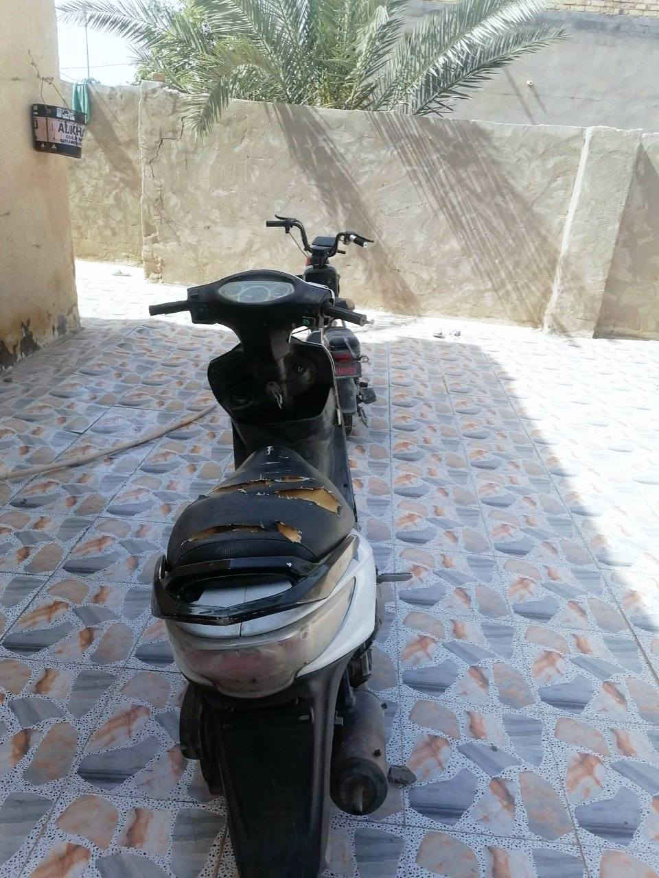 سلام عليكم كامكو للبيع شرط ما مفتوح محرك عوزهه بس تجفيت مراوس ستوته وذا شراي السعر 250


**إذا كنت صاحب هذا الإعلان وتريد حذفه لأي سبب، رجاءا أرسل رسالة إلى الدعم الفني**