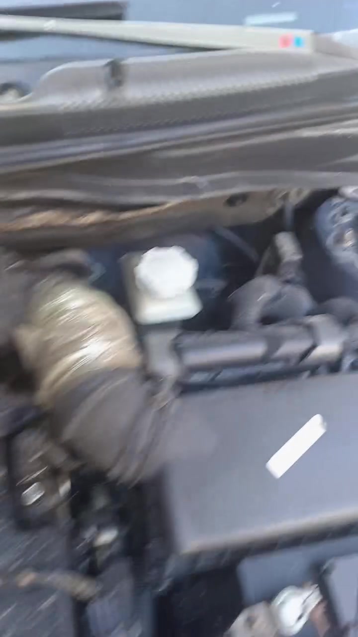السلام عليكم اكسنت ٢٠٠٩امريكي بسمي بغداد تحويل ثاني يوم اكو صور فديو توضيح عن سياره وسعر وتصل على هذه***********
