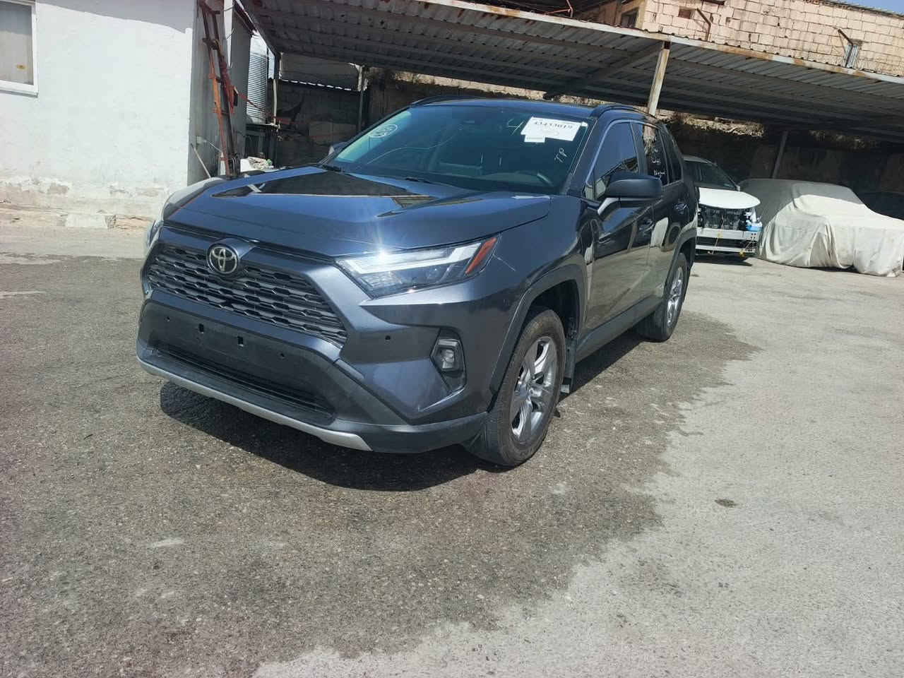 راف هايبرد موديل 24 هايبرد تدخل عل اربيل او كتاب شهداء صبغ البنيد اشويه في الچاملغ السعر في عمان 169 سعر مناسب جدا لإتصال ***********
