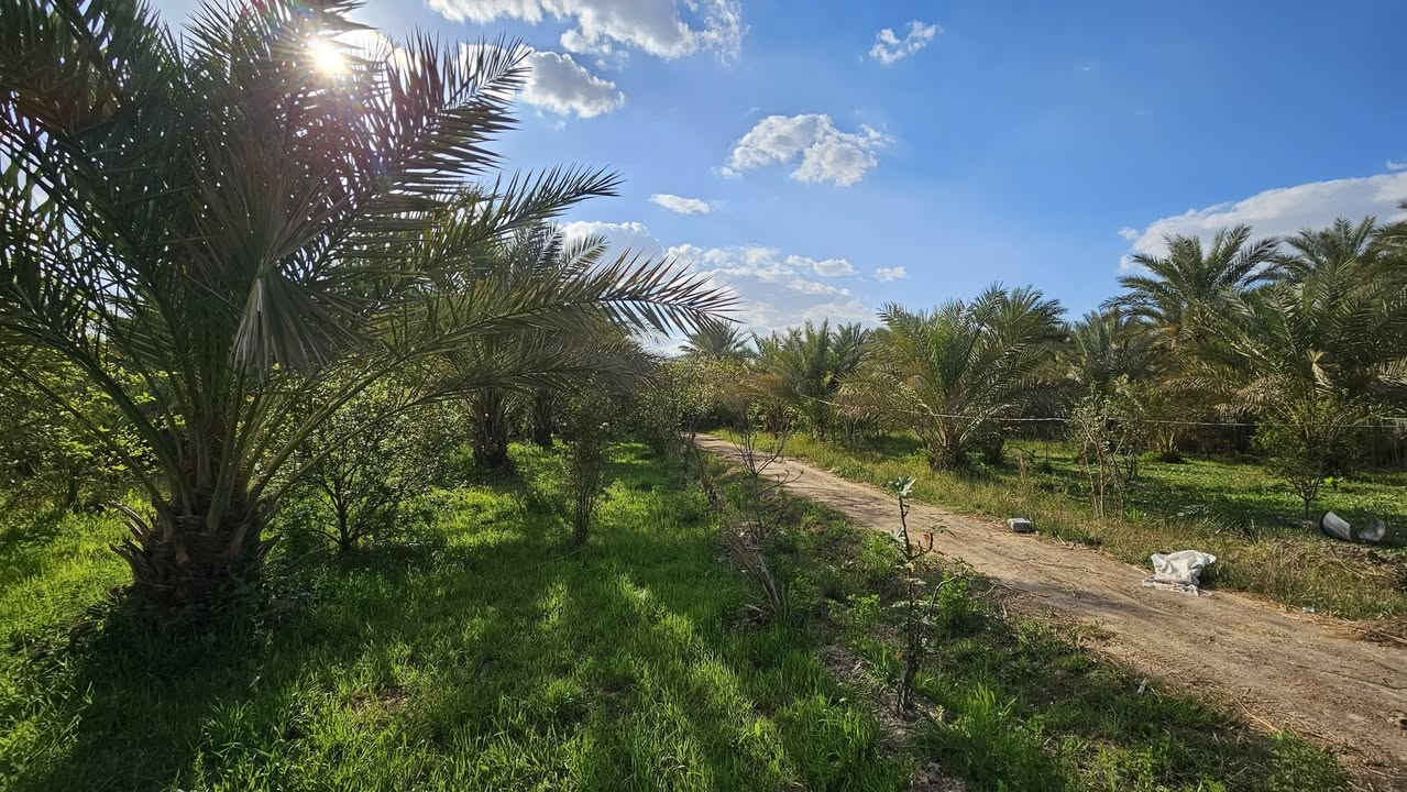 موقع مثالي في كربلاء 💯
✅ثلاث ️دوانم للبيع واجهه 33 م
مع 2 بيوت مساحة كل بيت 
200 م بناء طابوق جمهوري 

✅متوفرة كافة الخدمات 
تبليط، ماء، كهرباء، مدارس 
طابو سند 25 تحويل بالطابو

✅️الموقع كربلاء - شارع الإبراهيمية 
طريق الشهداء ( منطقة عناز )
تبعد من مركز مدينة كربلاء 15 كيلو 

💰السعر الكلي للأرض// 700 مليون 

📞 أتصل الآن ‪ ***********
