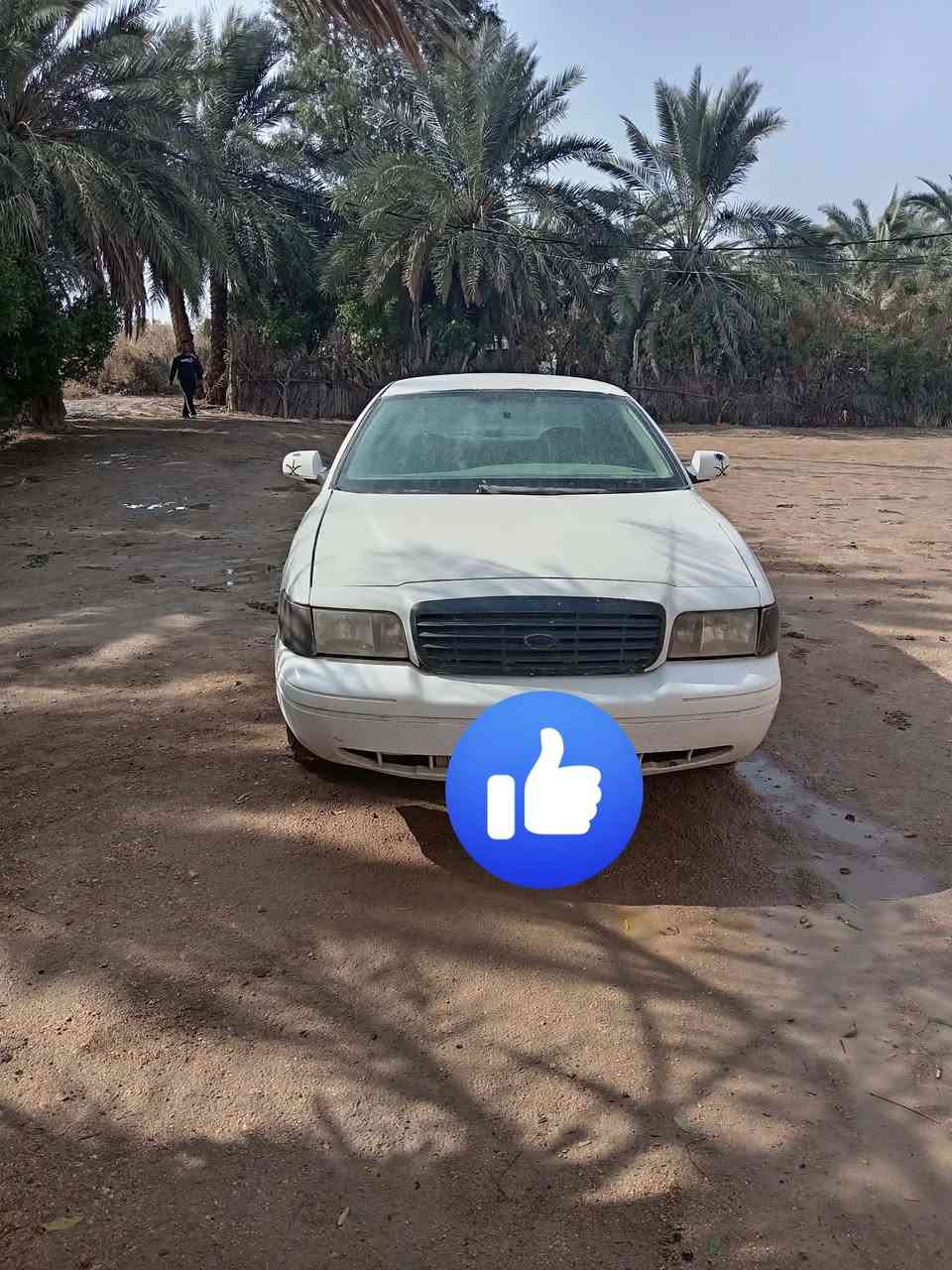 سلام عليكم فورت مكينه وكير فيفيتي شرط كله جديد سعرهه ب25 للستفسار التصال عله الرقم ***********
