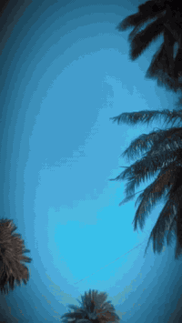 السلام عليكم كيه بستا مديل 95رقم ديالئ الماني راعيه يحول. السياره خير من الله. بس الثالث يفلت. انطيك ويااه كير. 25وبيه مجال بسيط مكاني بابل مشروع المسيب ***********
