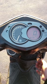 سكنس فحل لبيع مكاني بغداد 07711344681