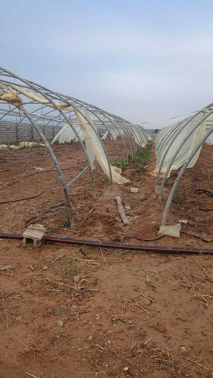 السلام عليكم عندي بيوت العدد اثنين اردني 24 قوس 56 متر العرض 9 نظافه درجه اولى العنوان محافظة كركوك قضاء الحويجه***********
