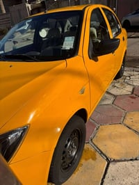 ساينا • ٢٠١٩ • كفاله عامه