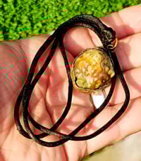 تحفة قديمة • زوعه حيه • توصيل سماوه