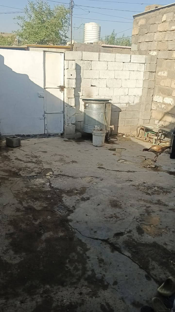 سلام عليكم بيت تجاوز بل 120 بل دوره وره العماره الحمره المقابيل باور هاوس بيت كامل مكمل بيه طرمه وصاله وحمام وغرفه ومطبخ وبيه حديقه وره البيت 100 متر للستفسار اكثر *********** السعر 12 وبيه مجال
